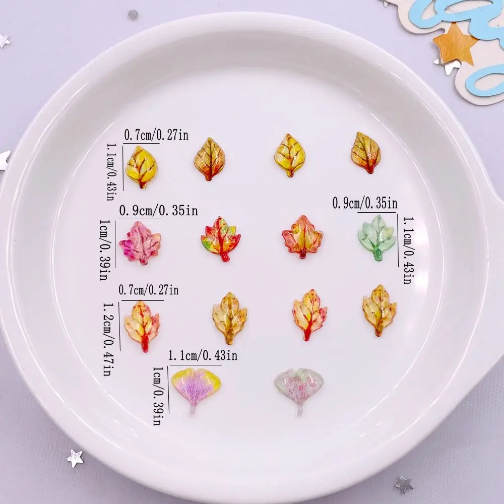 50pcs ผสมเรซิ่นมินิคริสตัล Map - Paradise Jewelry & Watches Llc Miami บทวิจารณ์และราคา